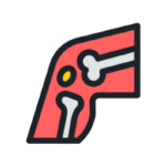 knee-joint-icon