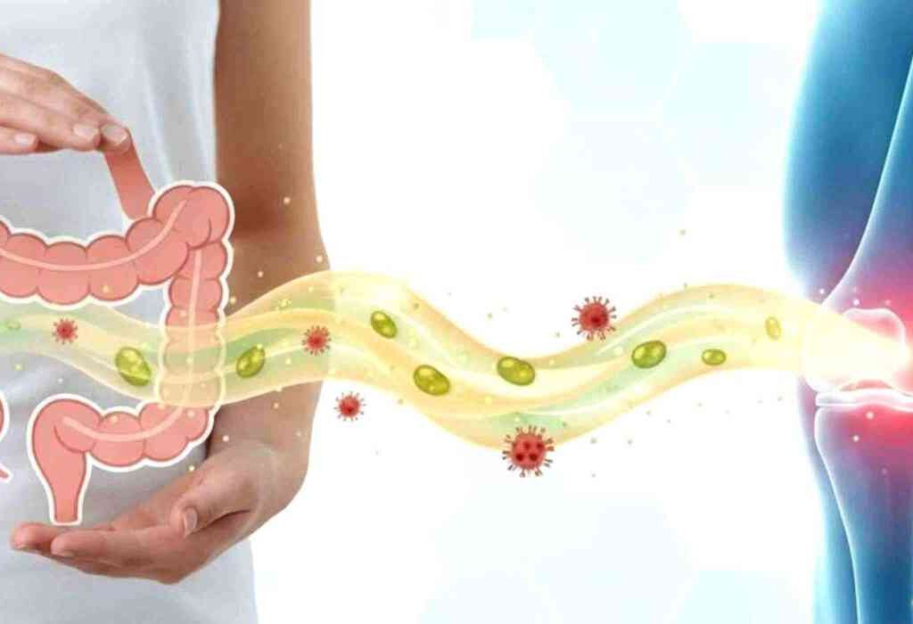 The Gut-Joint Connection: How Your Microbiome Influences Autoimmune Arthritis